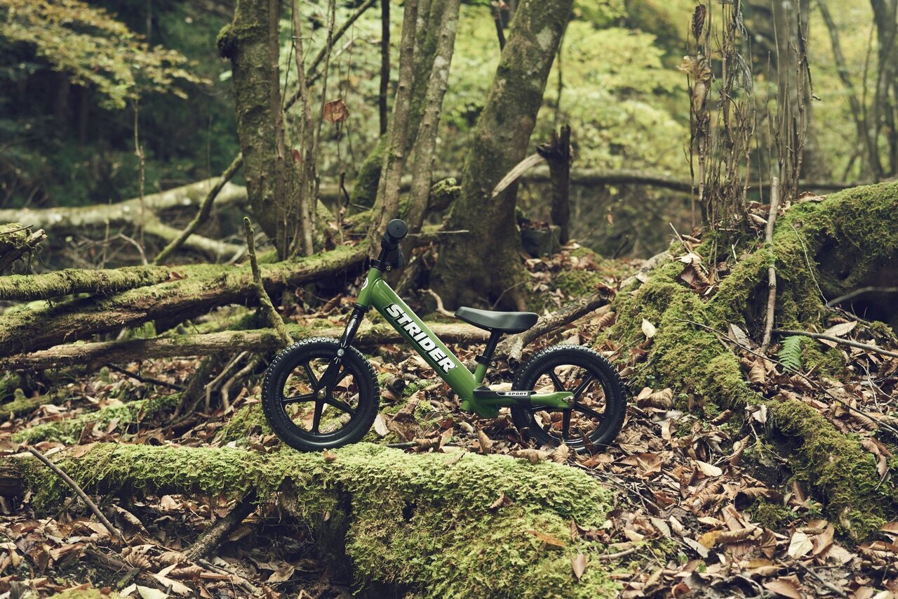【For Outdoor Lovers】It's time for an adventure with your kids! Limited color of the kids' running bike "Strider"