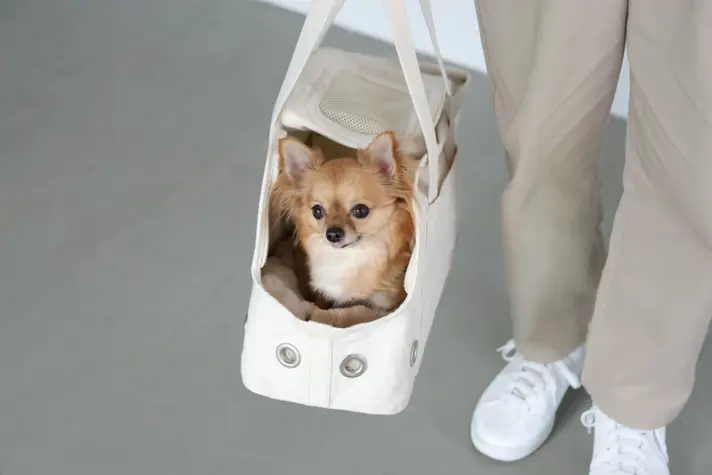 [Dog Carrier Bag] No more fear of hospitals or trains!? Carry your pet's own "nest" around