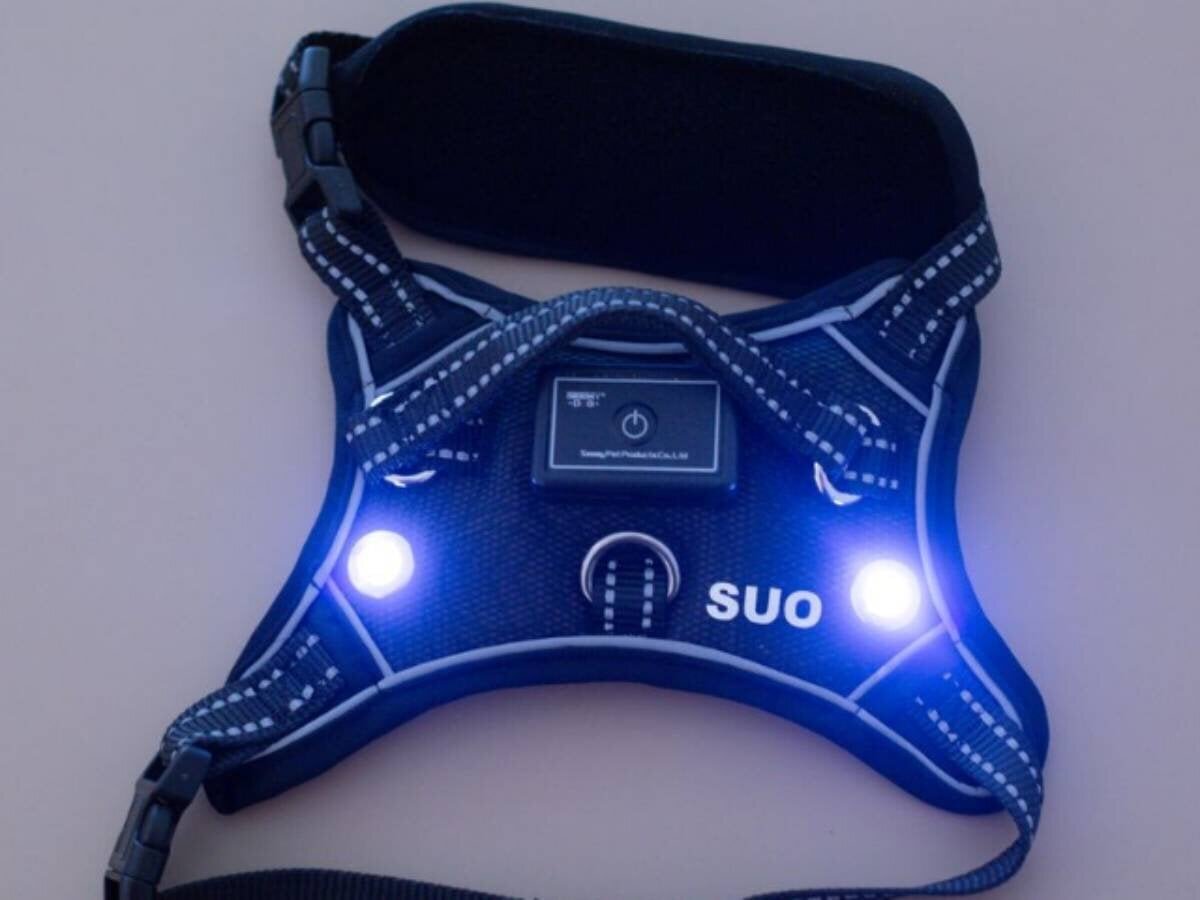 【For dogs】Avoid dangers during night walks & summer! A "glowing" harness that can be fitted with a cooling pad