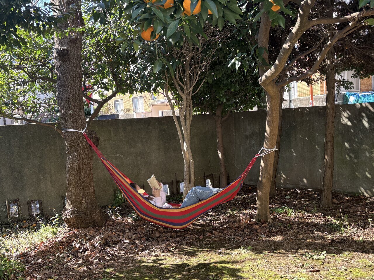 【Luxury Time】Napping in the garden with Daiso's 550 yen hammock! A quiet holiday gifted by my first hammock experience