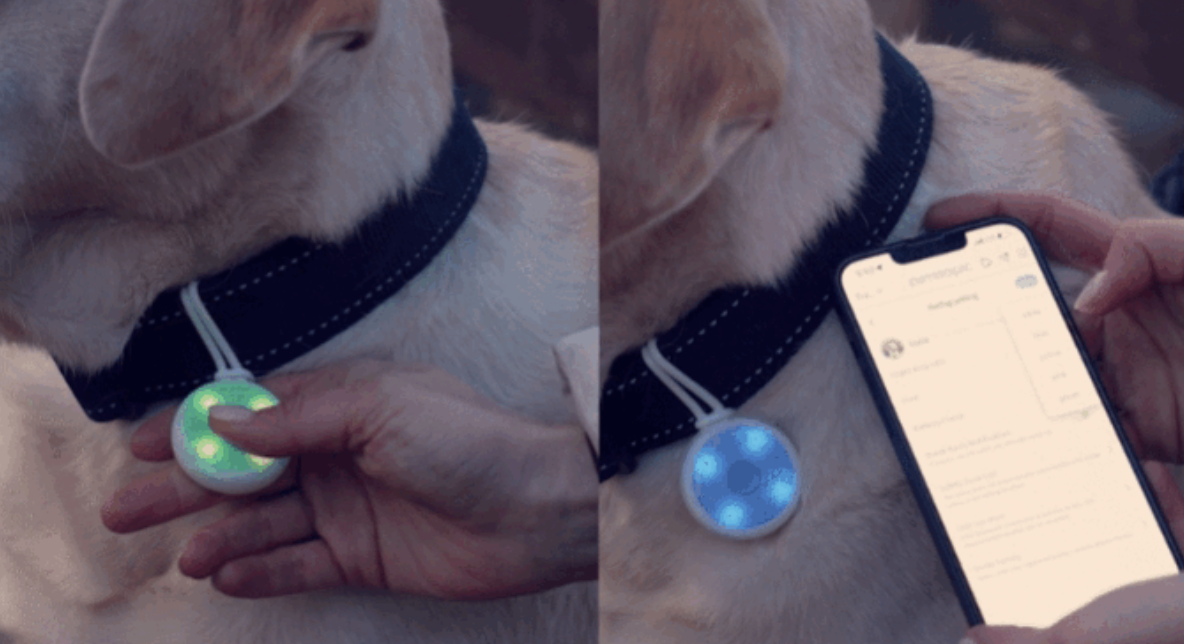【愛犬】迷子は“アプリユーザー”みんなで解決！次世代スマートタグでどこにいても追跡だ