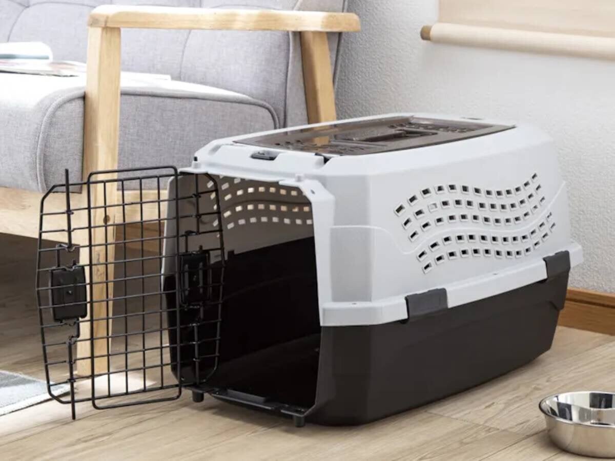 [Cainz Top 3] Recommended for Cat and Dog Lovers! Windowsill boards, house-type carriers, and more.