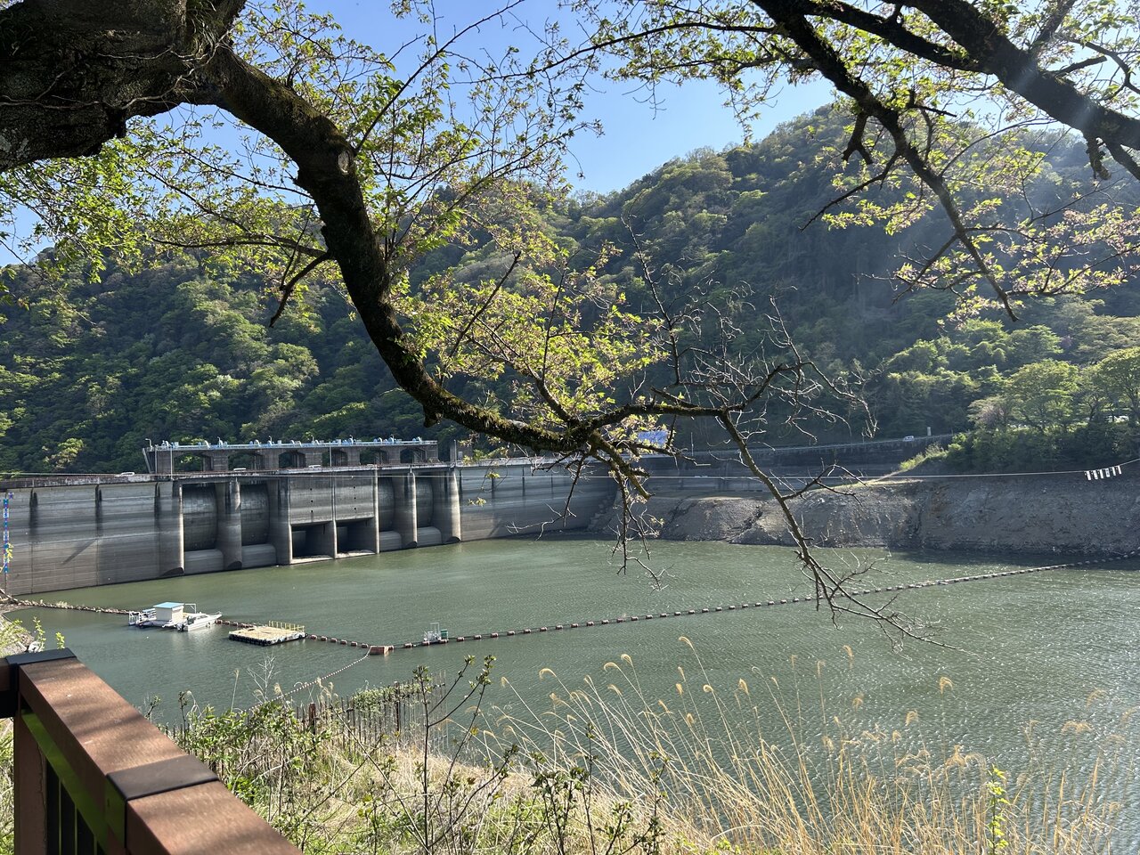 【休日ドライブ】都心から近いドライブ先！美しく広大な自然の津久井湖城山公園を散策
