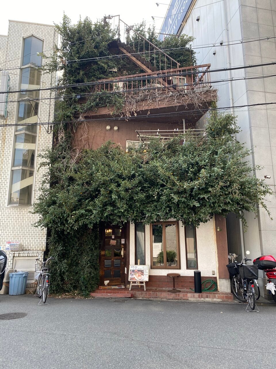 【Exploring Osaka】How about stopping by after USJ? I made my mixed juice debut at the retro café "Yumeumi"