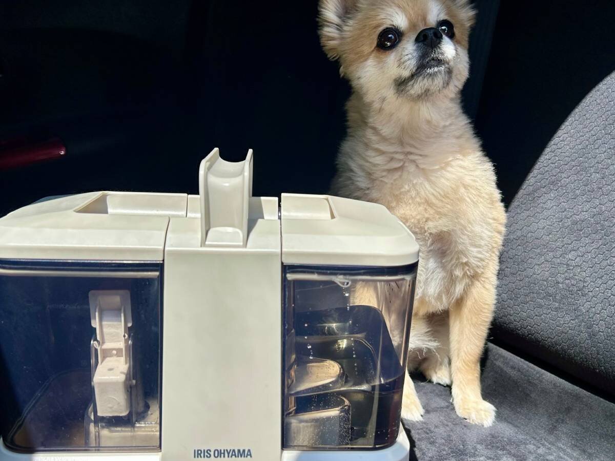 【スッキリ】ドッグラン後の車内でテスト！水を吸い取る「リンサークリーナー」でシート汚れは落ちるのか？