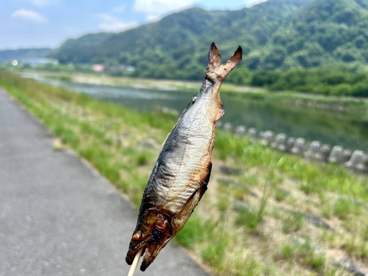 【地元グルメ】相模川を前に鮎の塩焼きを食らう「上大島友鮎販売所 売店」に日帰りドライブ