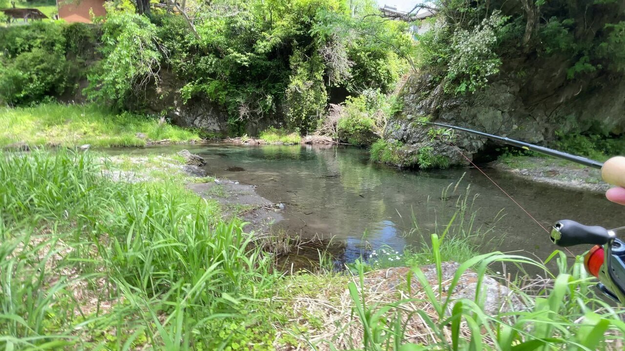 [Stream Fishing Trip] Fishing in the Iruma River in Saitama Prefecture with a Jimny! Walking the tranquil riverside and the wild headwater region