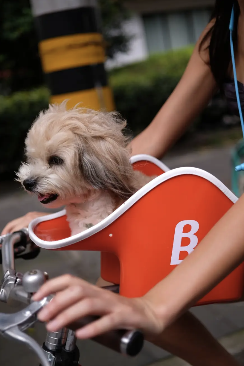 [Cycling with Your Dog] Balancing safety and refreshment! Here’s why the “dog perspective” bicycle seat is amazing