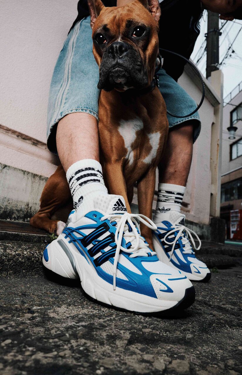 【アディダス】犬と一緒に！ストリートへ昇華したランニングモデル「ADISTAR」新モデルと新カラー