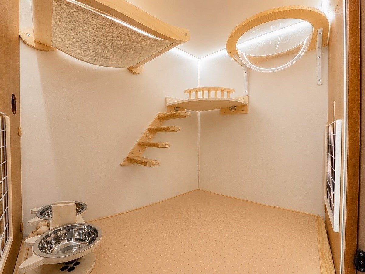 [Camping Car] A "cat-exclusive" room inside the vehicle!? The "Nyanping Car" can be rented starting from the 20,000 yen range.