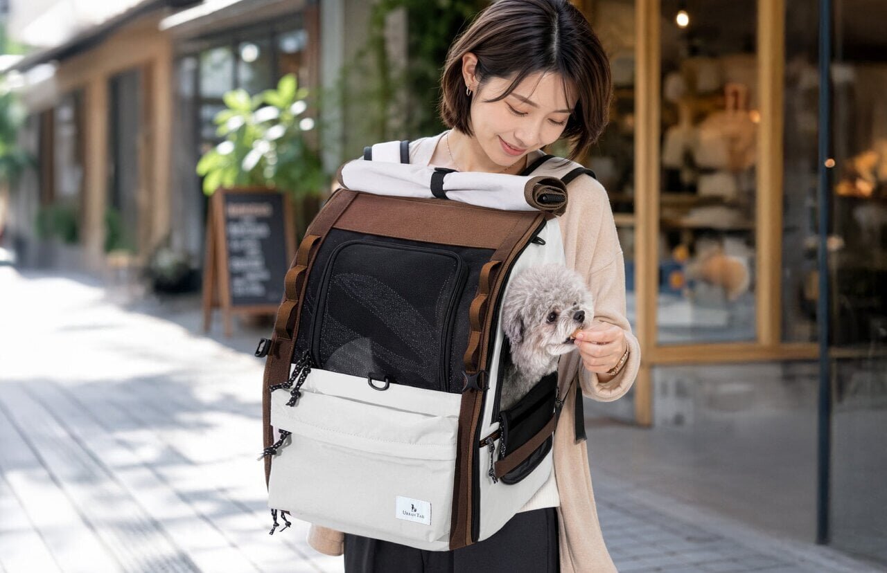 【Pet】A savior for outings in summer! A “4WAY” carrier equipped with mesh windows and sunshades