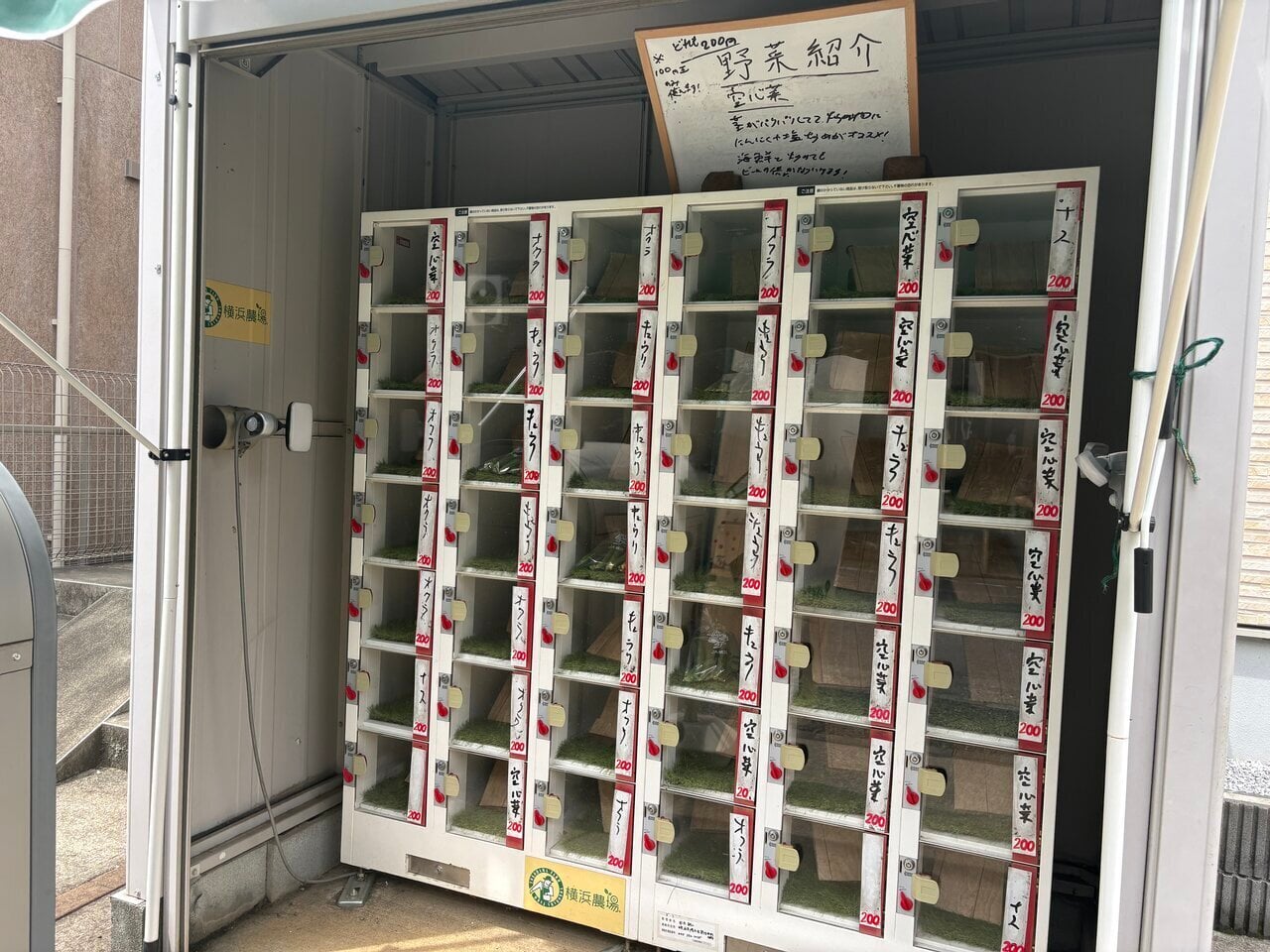 【Breaking Free from Monotony】I tried to think of a dinner menu using a vegetable vending machine in Takada, Yokohama