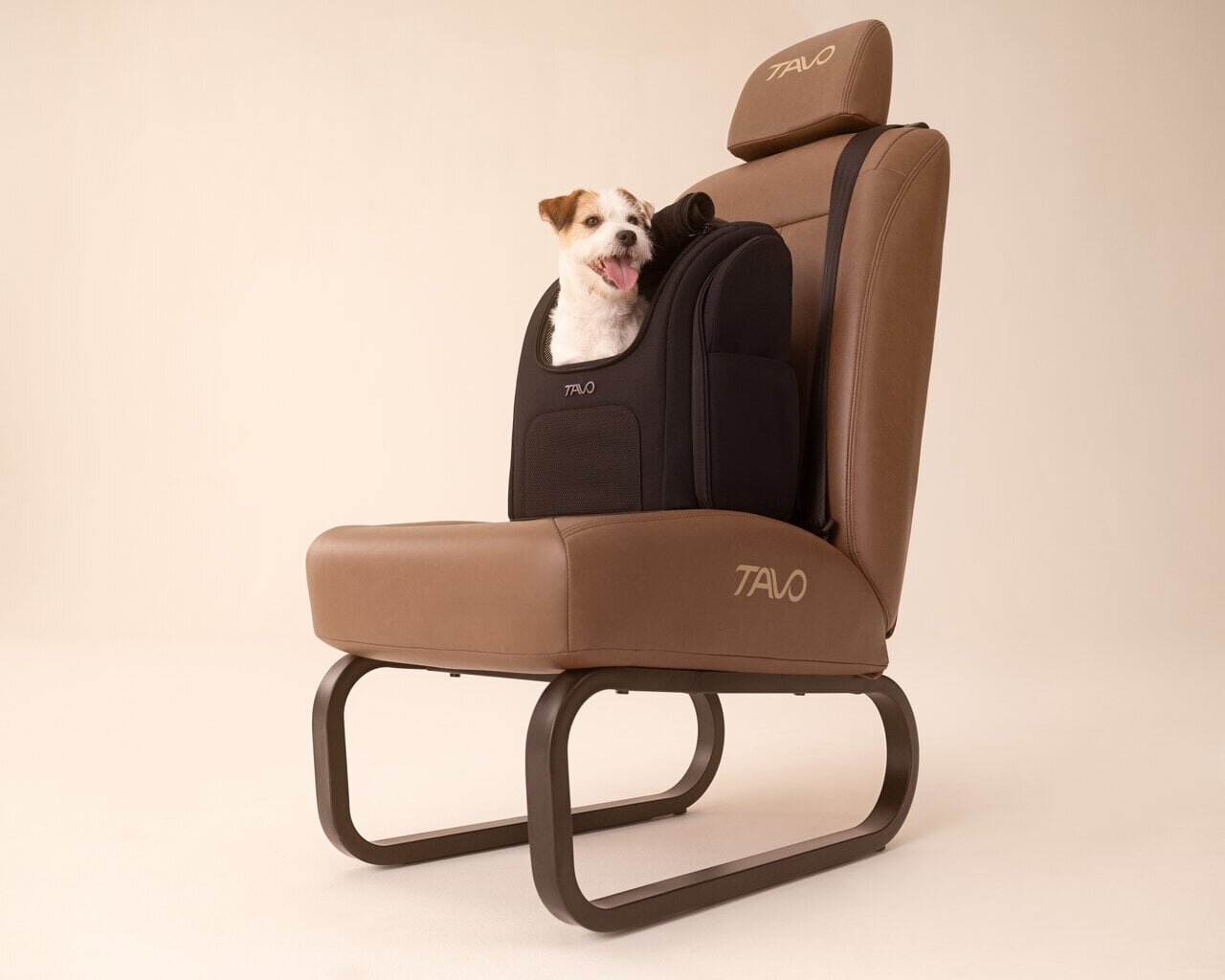 [Driving with your dog] Transition from carrying ↔ to car seat! Pet backpack made with child seat materials