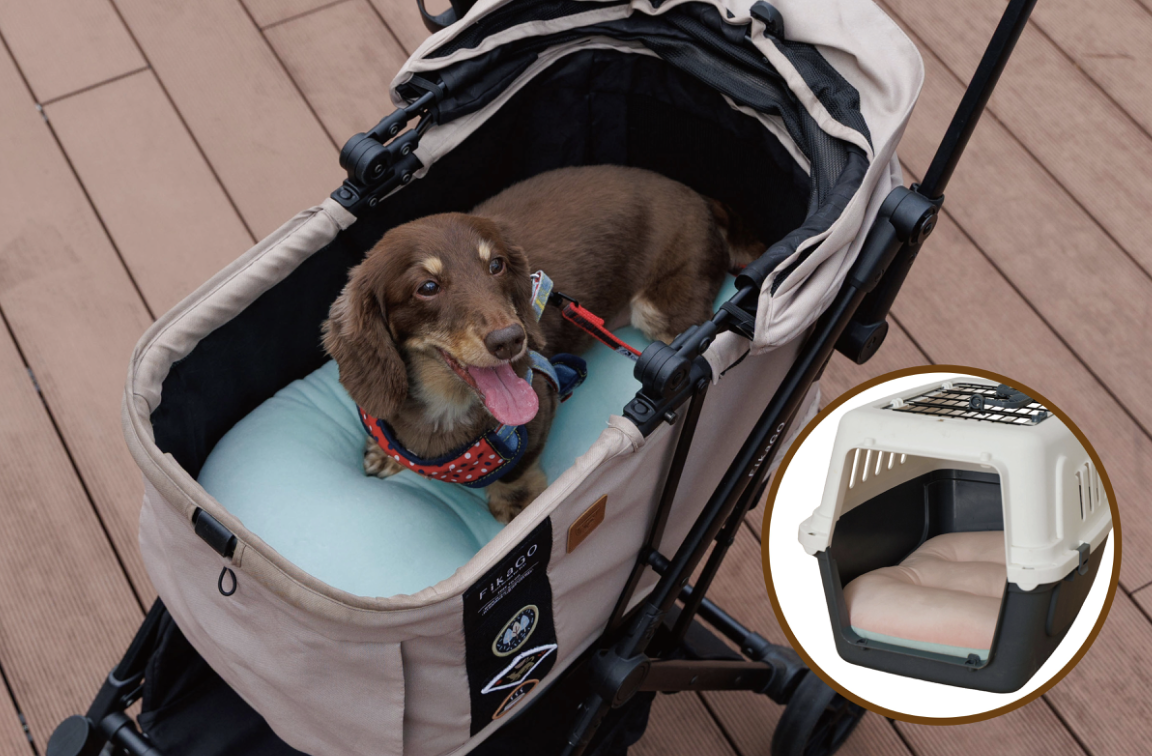 【Shimachu】Emerging from the holy land of pet owners! Autumn and winter beds that your beloved dog and cat can sleep soundly in