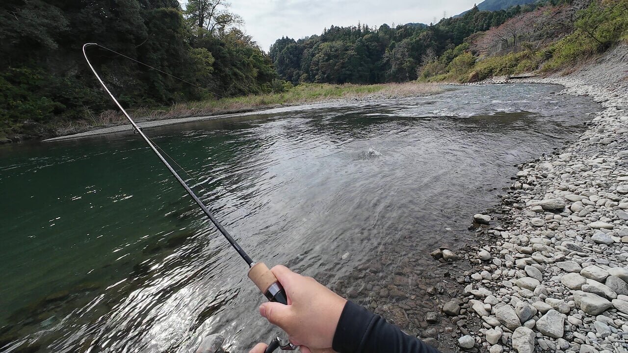 【Fishing】I went to "Okutama River Trout Fishing," where you can enjoy stream fishing even during the closed season