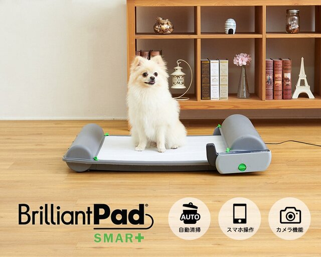 デイキャンプや長時間の外出時にあると嬉しい ペットのニオイが広がらないロール式自動犬用トイレ Maduro Online マデュロオンライン