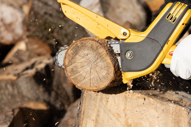 園芸 素人も使えるチェーンソー 太い枝も高い木もこれ一台でスパッと切断 Maduro Online マデュロオンライン