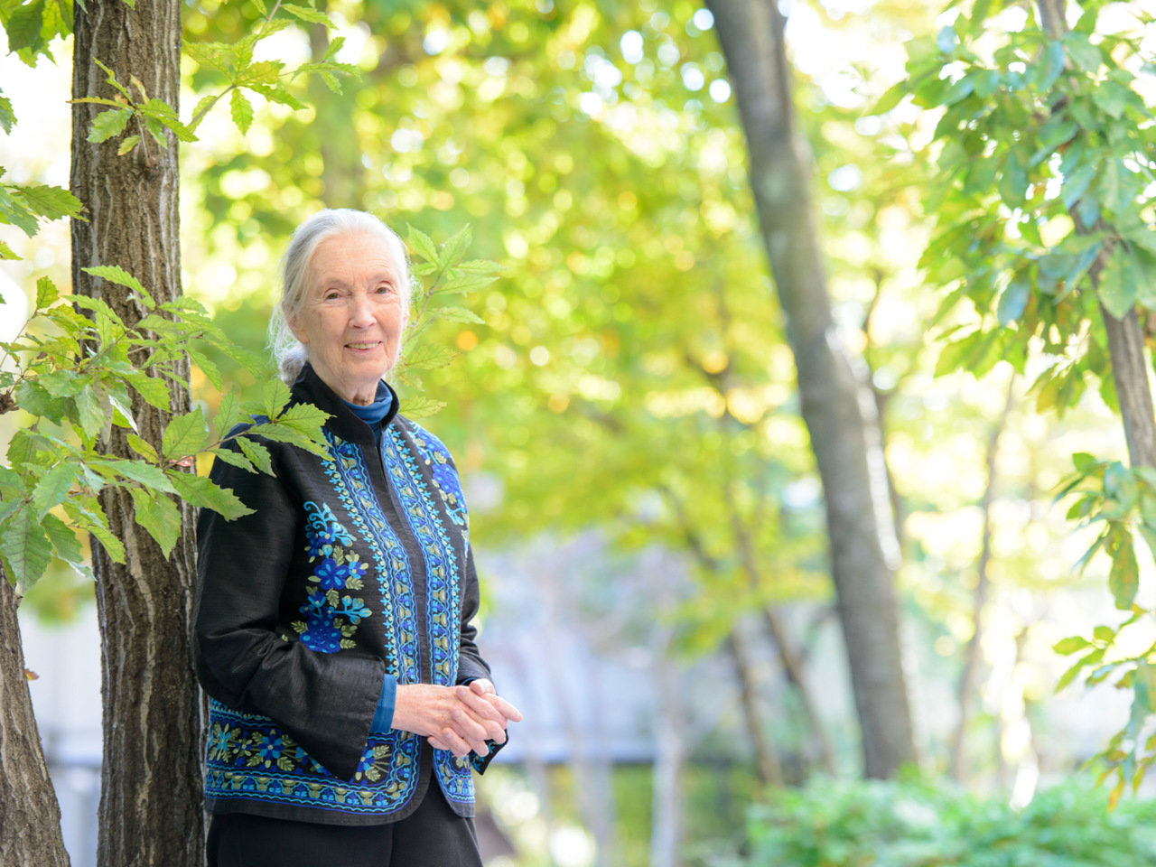 霊長類学者 ジェーン グドール インスティテュート創設者 Jane Goodall Sotokoto Online ソトコトオンライン 未来をつくるsdgsマガジン