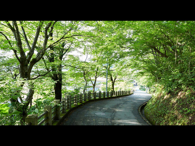 築96年の古民家をリノベーションした飛騨高山の宿が飛騨高山の美味しいものをあつめたマルシェを開催