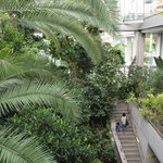 ゴーヤだけじゃない!? 緑のカーテンの育て方、植物園へ習いに行こう