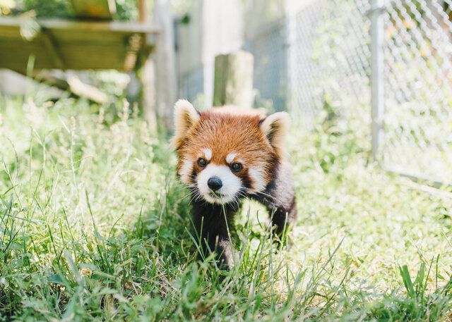 動物園 Sotokoto Online ソトコトオンライン 未来をつくるsdgsマガジン 動物園 Sotokoto Online ソトコトオンライン 未来をつくるsdgsマガジン