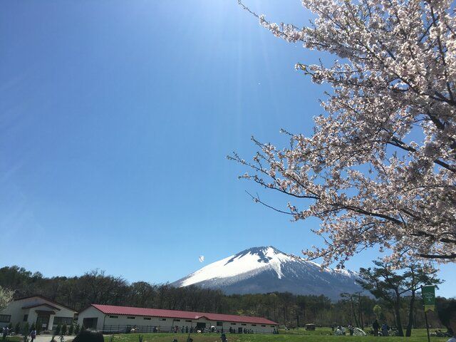 わかりそうでわからない これ何県でしょう 都道府県クイズ Sotokoto Online ソトコトオンライン 未来をつくるsdgsマガジン わかりそうでわからない これ何県でしょう 都道府県クイズ Sotokoto Online ソトコトオンライン 未来をつくるsdgsマガジン