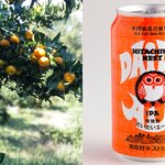 常陸野ネストビール、福来みかんを用いた柑橘風味が爽やかな「だいだいエール」を発売