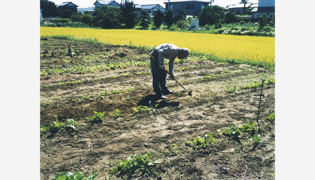 引き継がれる家庭菜園｜若木信吾×静岡県浜松市