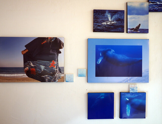 写真展「鯨とワタシたち」の様子