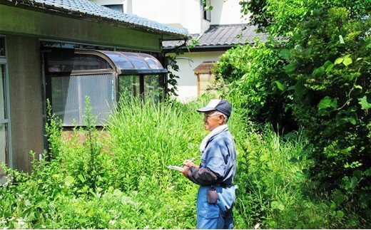 草むしり