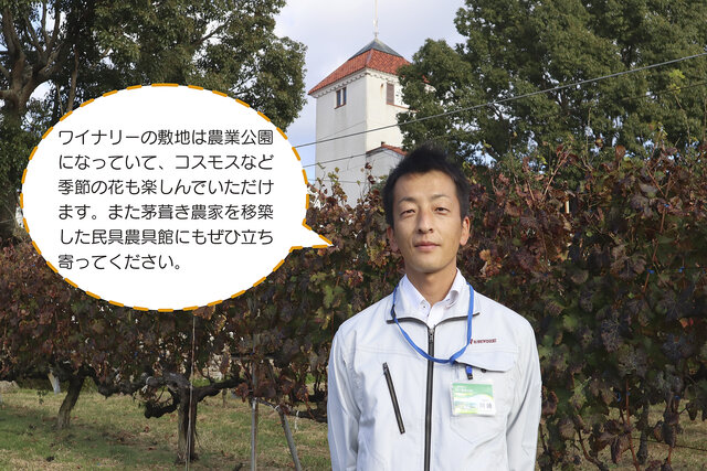神戸ワイナリーの川崎さん