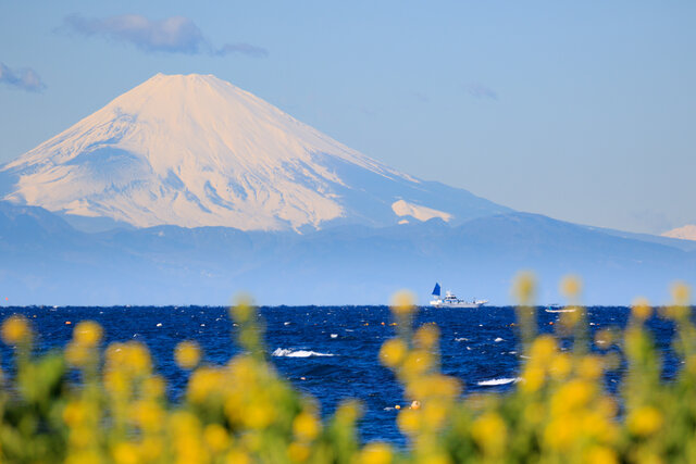 館山市内から見える富士山