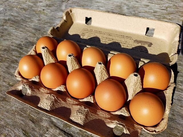 平飼い有精卵のじろえむの卵
