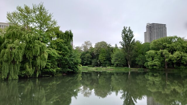 心安らぐ札幌・中島公園