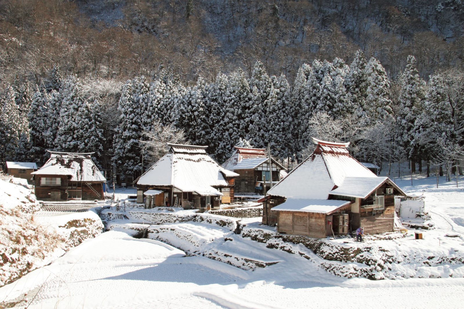 雪国
