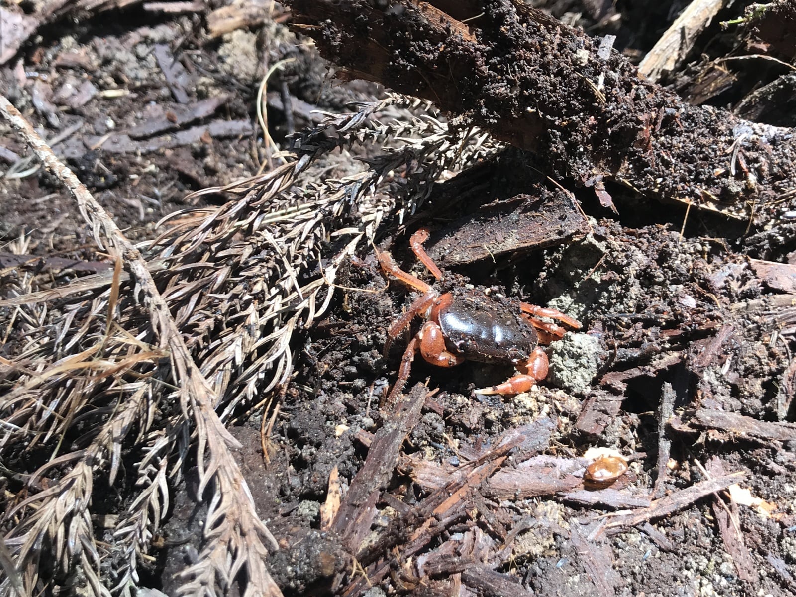 はじめてをやってみよう しまなみ野外学校がってんの今月 Vol 2 Sotokoto Online ソトコトオンライン 未来をつくるsdgsマガジン