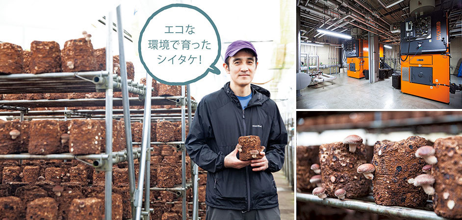 左/下川産シイタケを栽培する平野さん。右上/森から出た林地残材をチップにして燃焼する木質バイオマスボイラー。シイタケ栽培のハウス、集住化住宅、福祉施設、コミュニティセンターなどの暖房を賄う。右下/シイタケは90日間で4回収穫。役目を終えた菌床は堆肥になる。