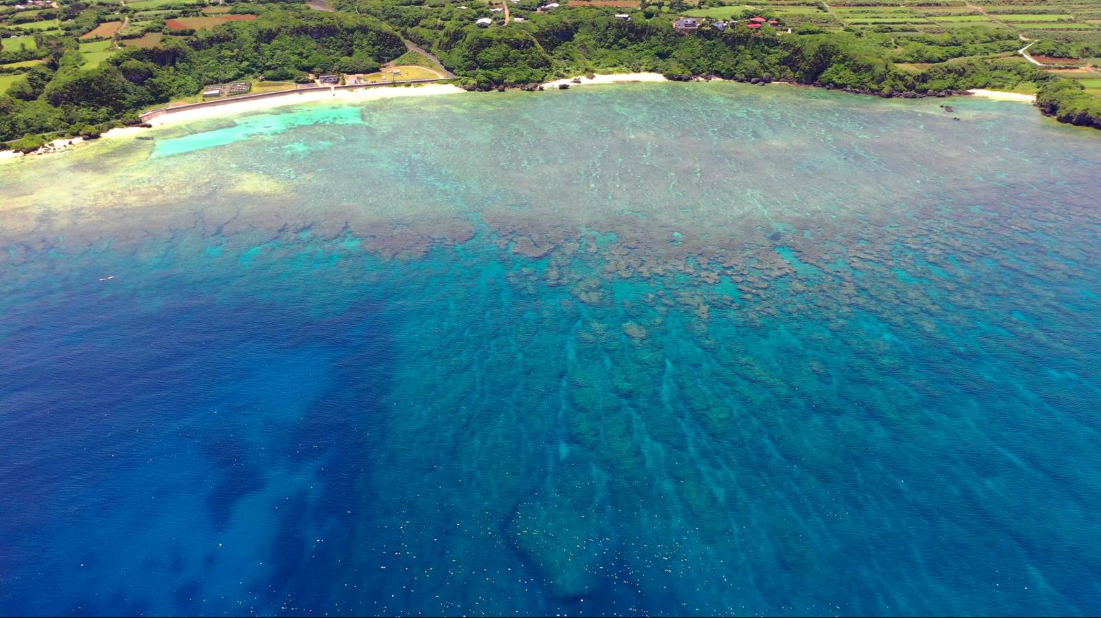 沖永良部の海