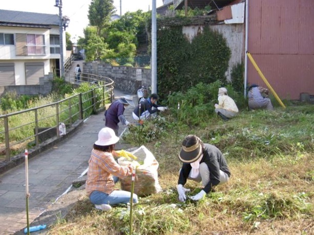 空き地の清掃の様子