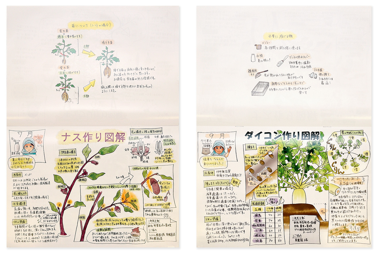 このページに驚いた! ナスを収穫するためには、 正しい剪定が必要。