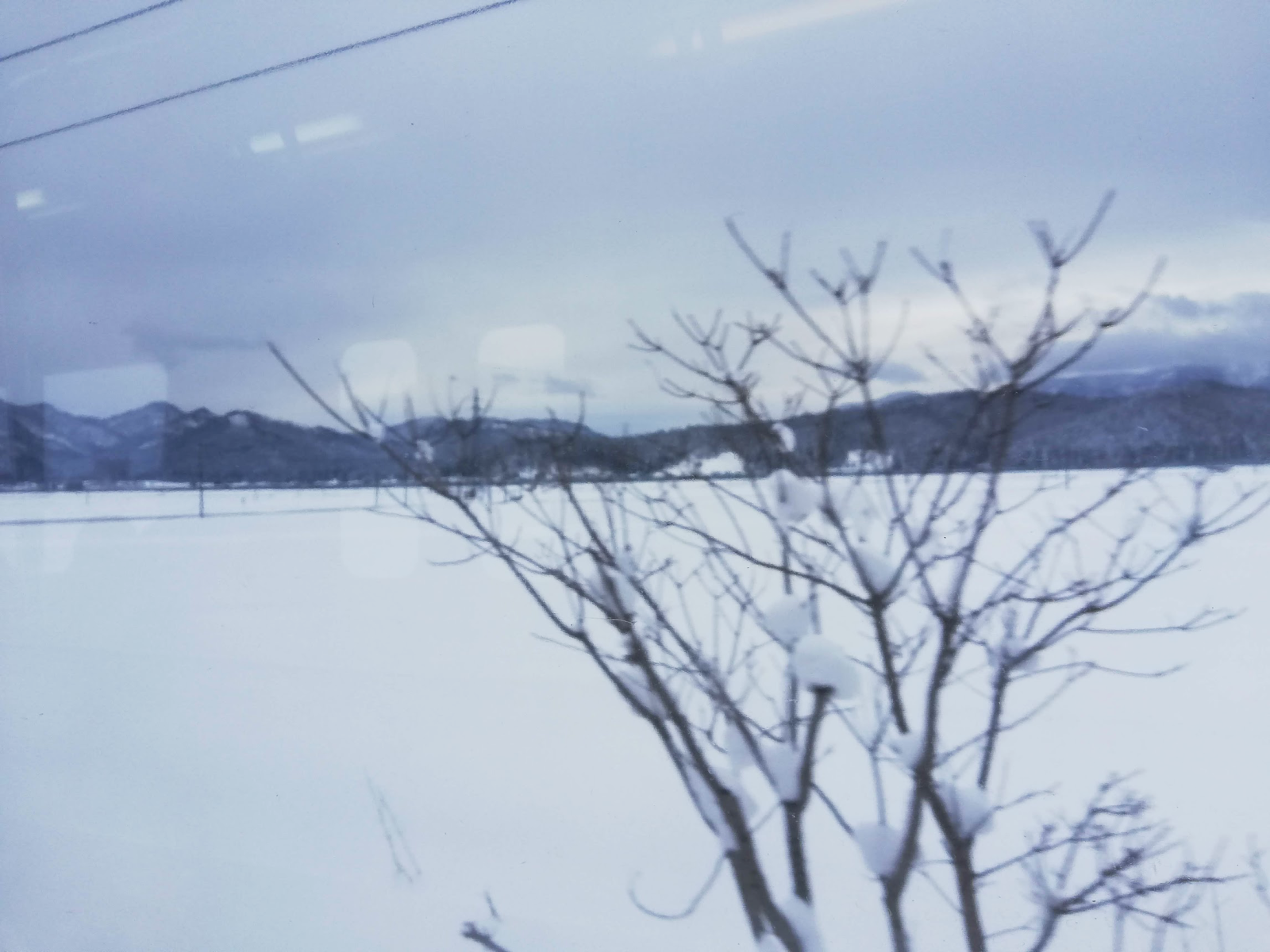 雪景色