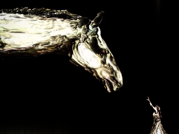 《Homichevalo》 12 min. 2008v