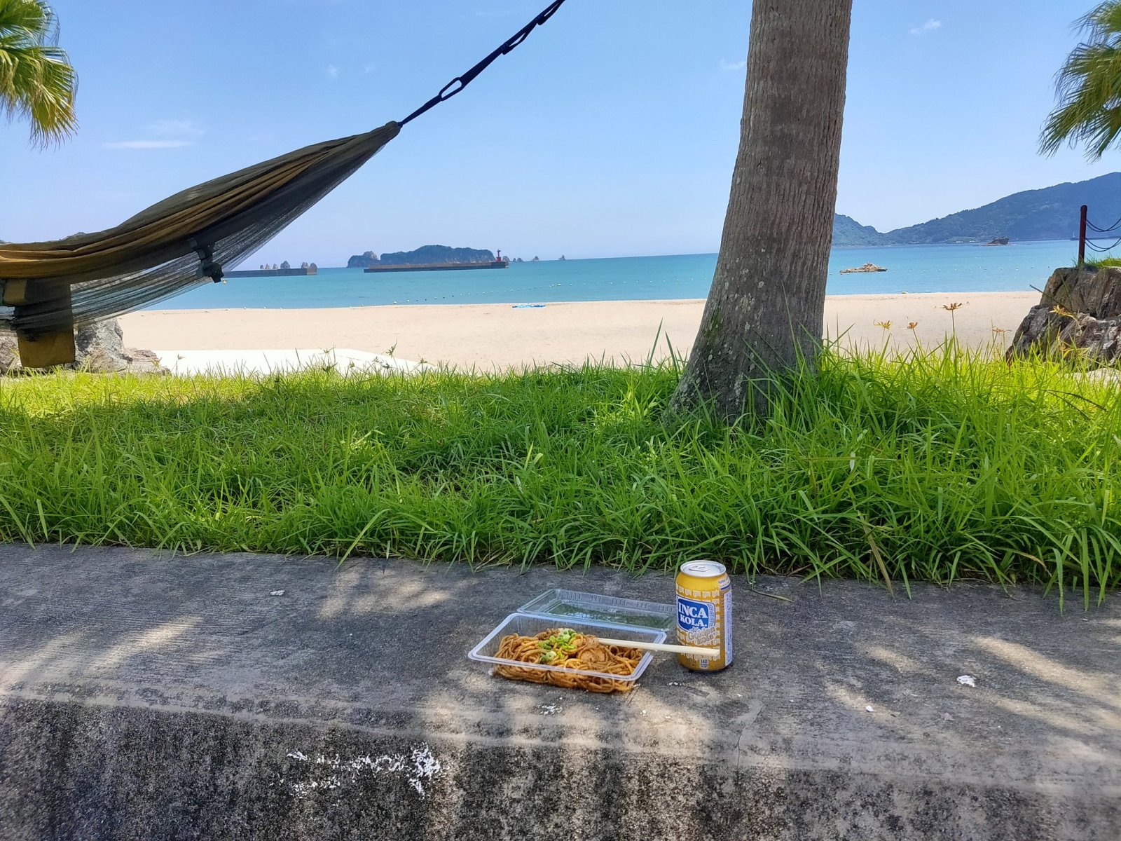 海