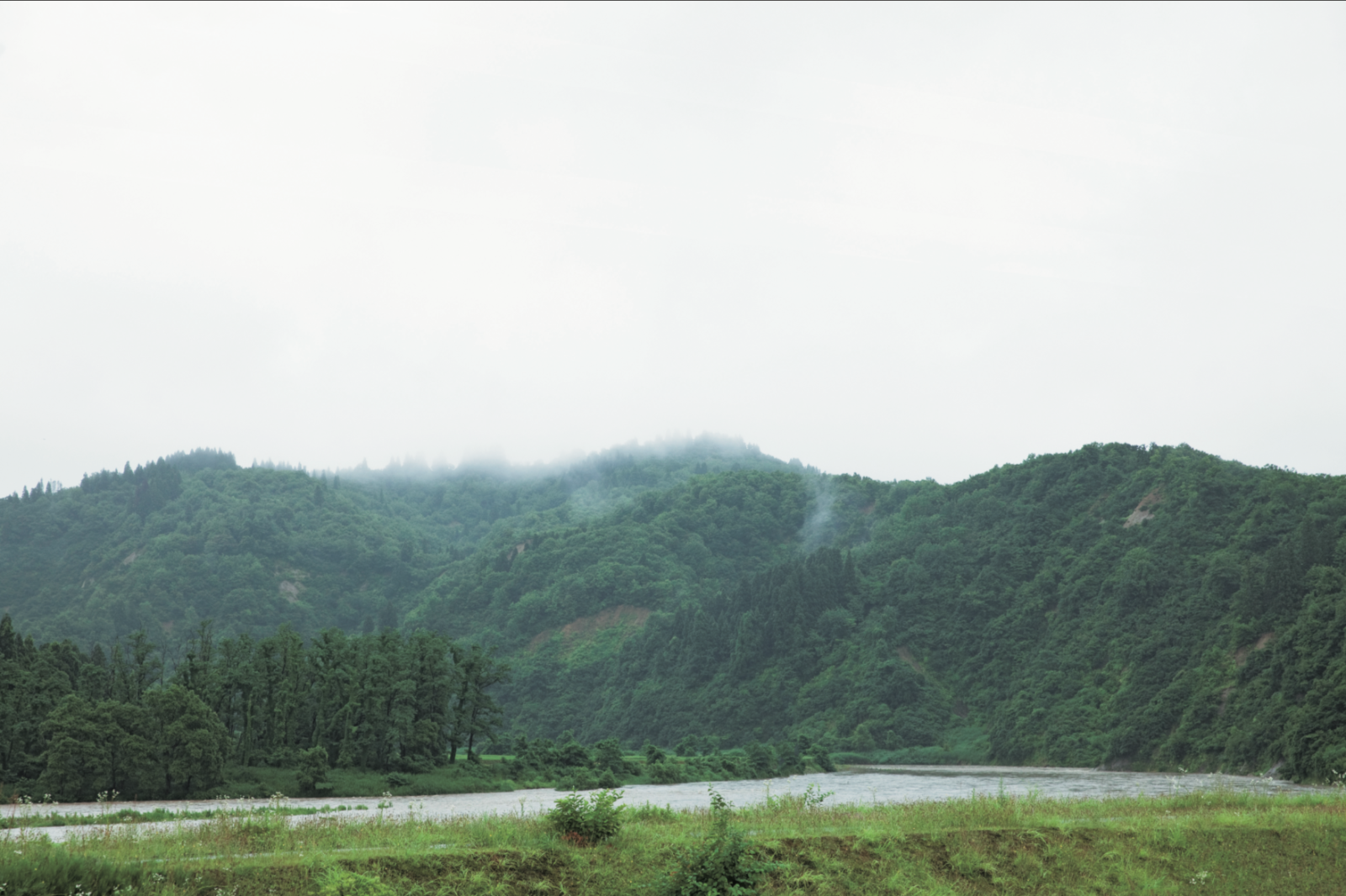 雨が降って水かさを増した魚野川。川岸にやな場がある。