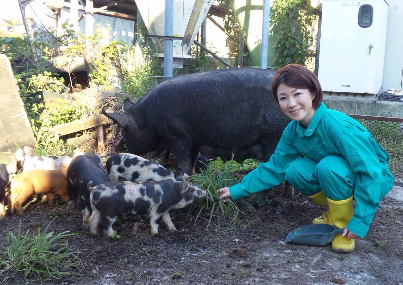 東京・八王子の豚舎にて