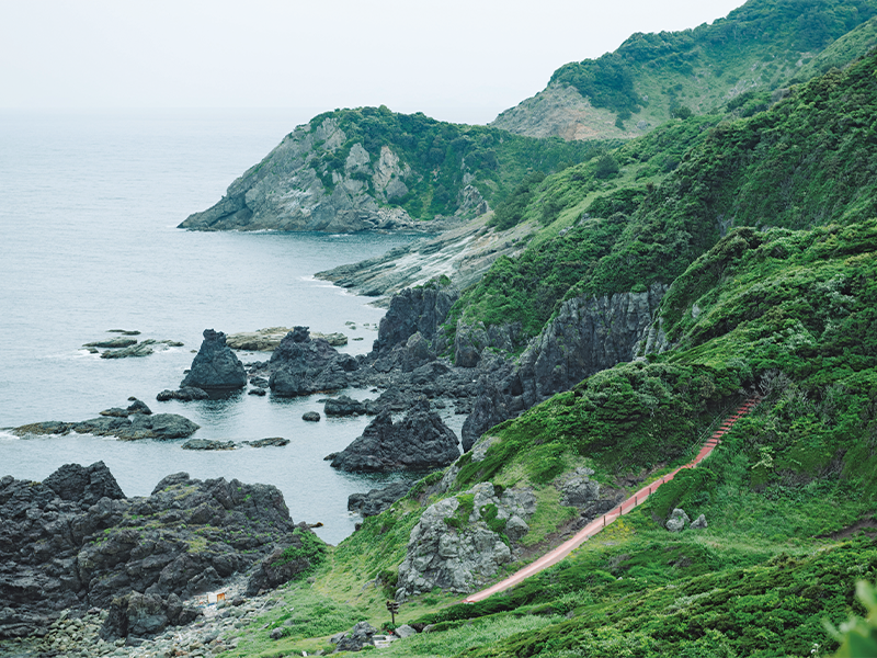 港や住宅がある島の南側に対して、北側は原野や岸壁が広がる大島。展望台からの眺めは四方を海に囲まれ、圧巻。
