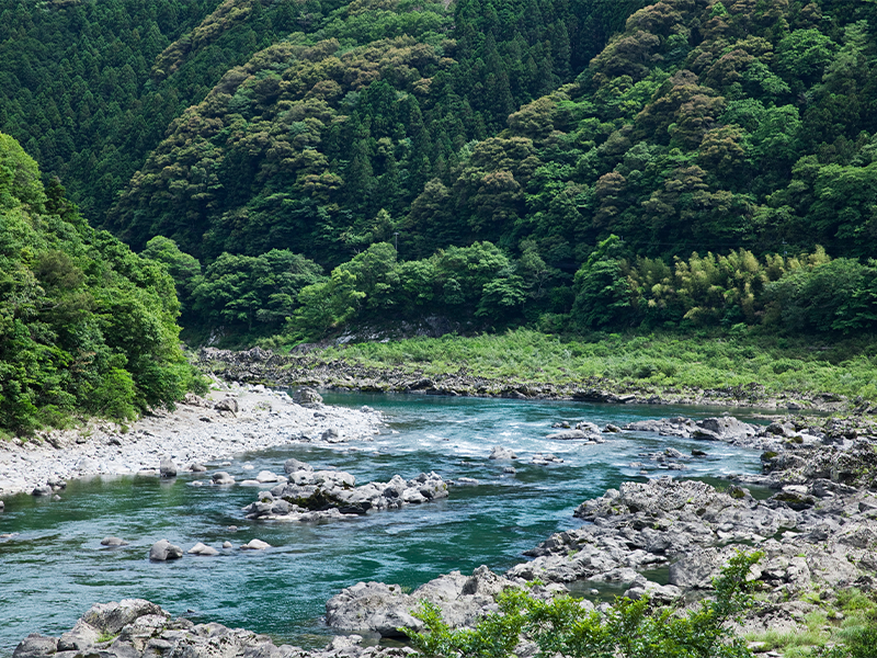 四万十川の中流域にあたる四万十町。人口は約1万8000人。川は美しく、天然の鮎が泳ぐ。天然の鮎は6月〜10月、四万十市にある『道の駅 よって西土佐』内の『鮎市場』で購入できる。
