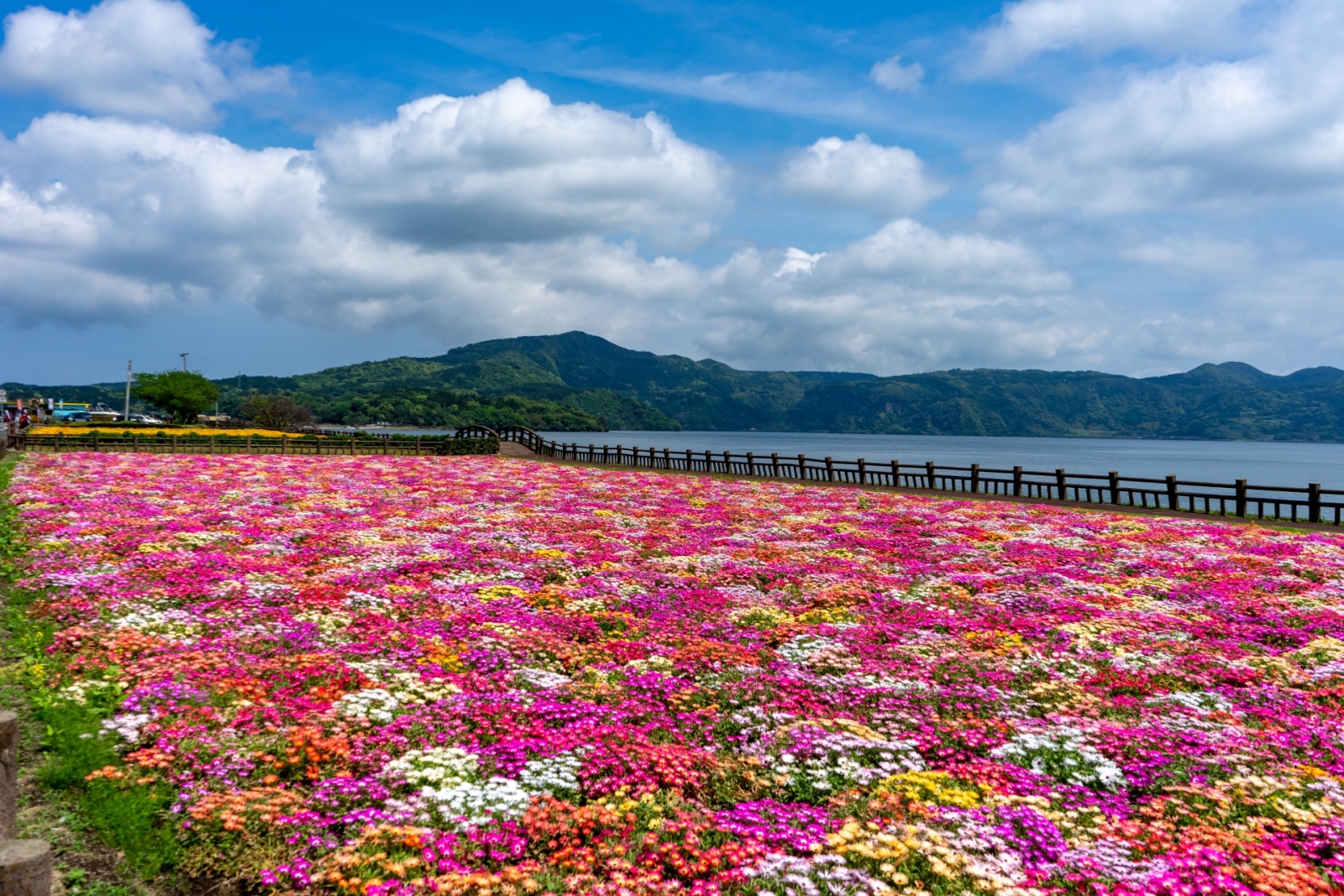 池田湖