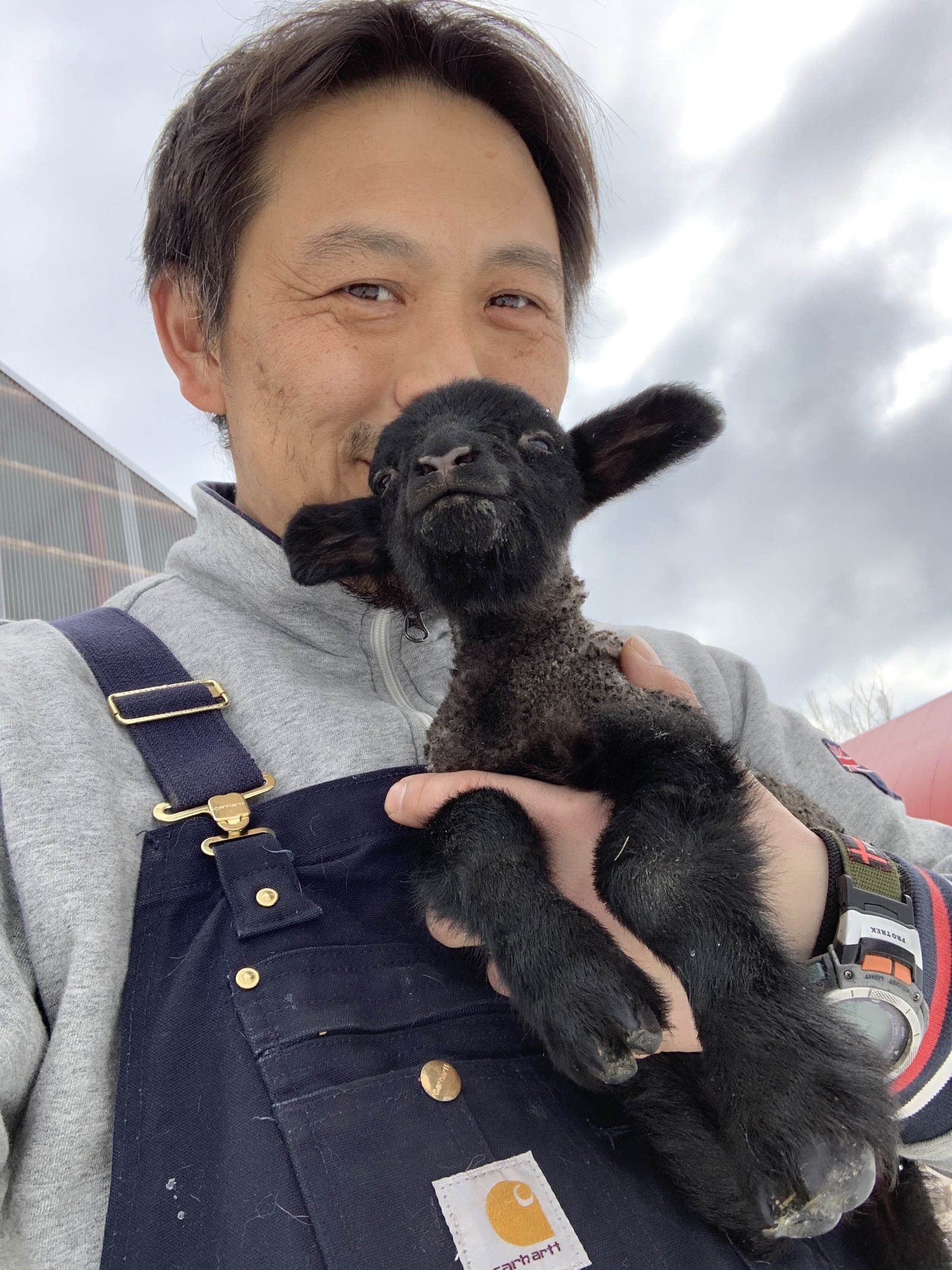 生まれたての羊の赤ちゃんを抱きかかえる黒井さん