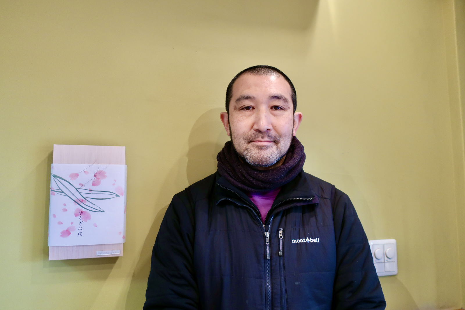 やなぎに桜_柳沢さん